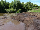 Restauration des berges Nord -2011