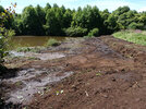 Restauration des berges Nord en 2011