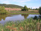 Restauration des berges ouest en 2011