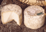 Le Velay, un fromage de Haute-Loire