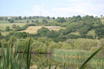 Etang réaménagé