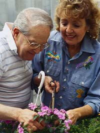 Jardinage à la retraite