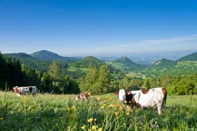 Animaux en Haute-Loire