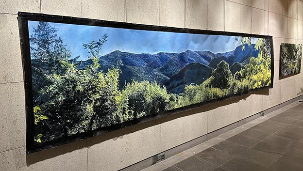 toile de gaëlle Michel